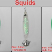 colour squids collage